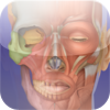 Body Scientific Charts and Books Body Scientific Charts and Books
